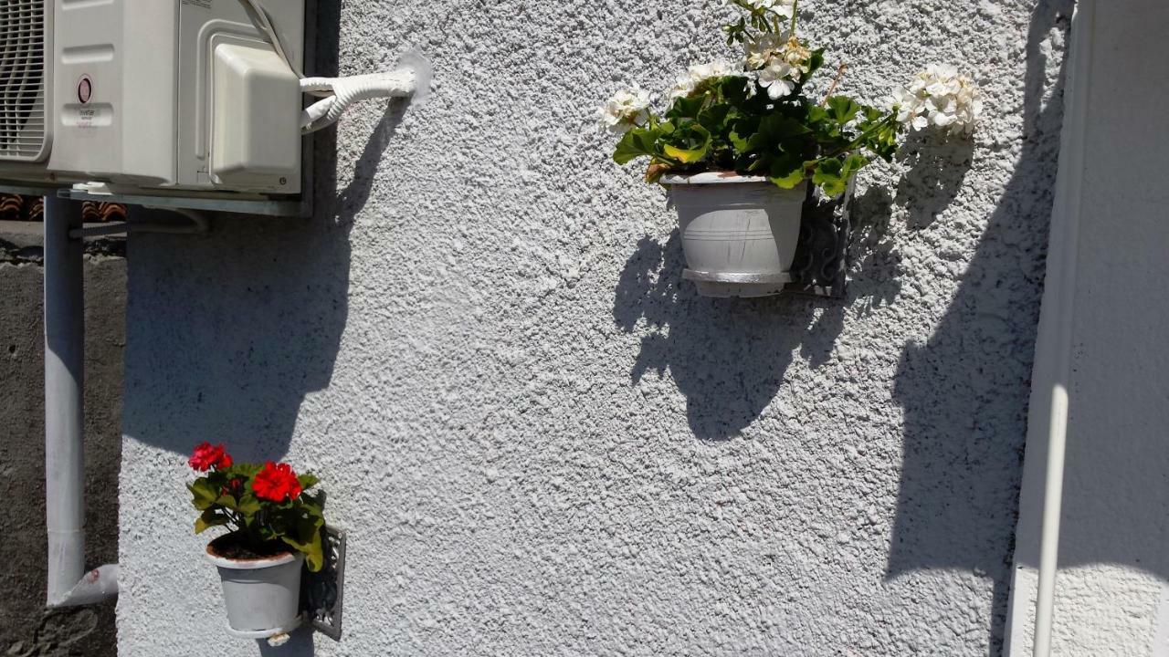 Apartments Princip Orlec Eksteriør bilde